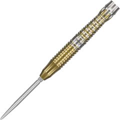 TARGET BLACK MARQUE SERIES ENZO 22g 廖英州 (Enzo Liao) 选手款 Swiss Point [STEEL]