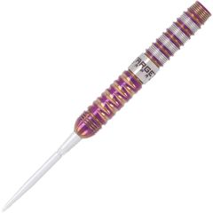 TARGET ENDEAVOUR G2 24g 佐藤かす美 (Kasumi Sato) 选手款 Swiss Point [STEEL]