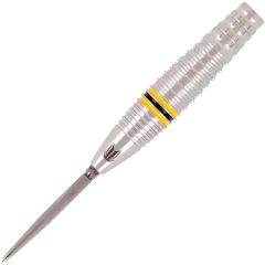 TARGET SCOTT WILLIAMS G2 25g Scott Williams 选手款 Swiss Point [STEEL]
